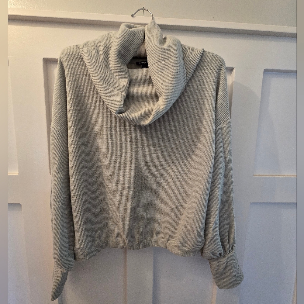 Express Turtleneck Cropped Sweater Size Small